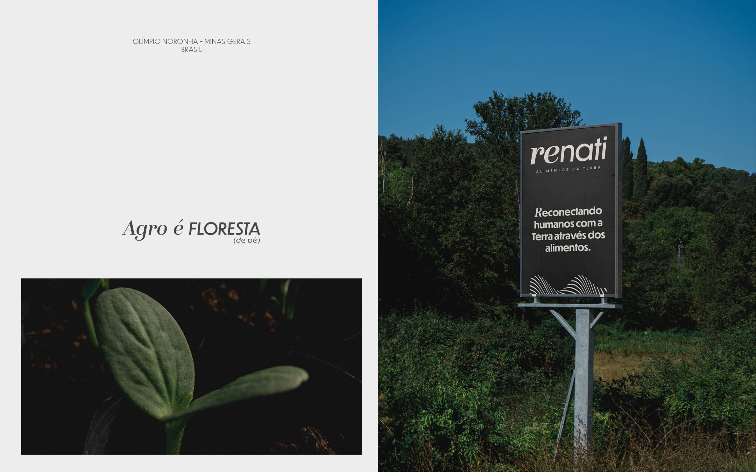 Renati Case Behance14